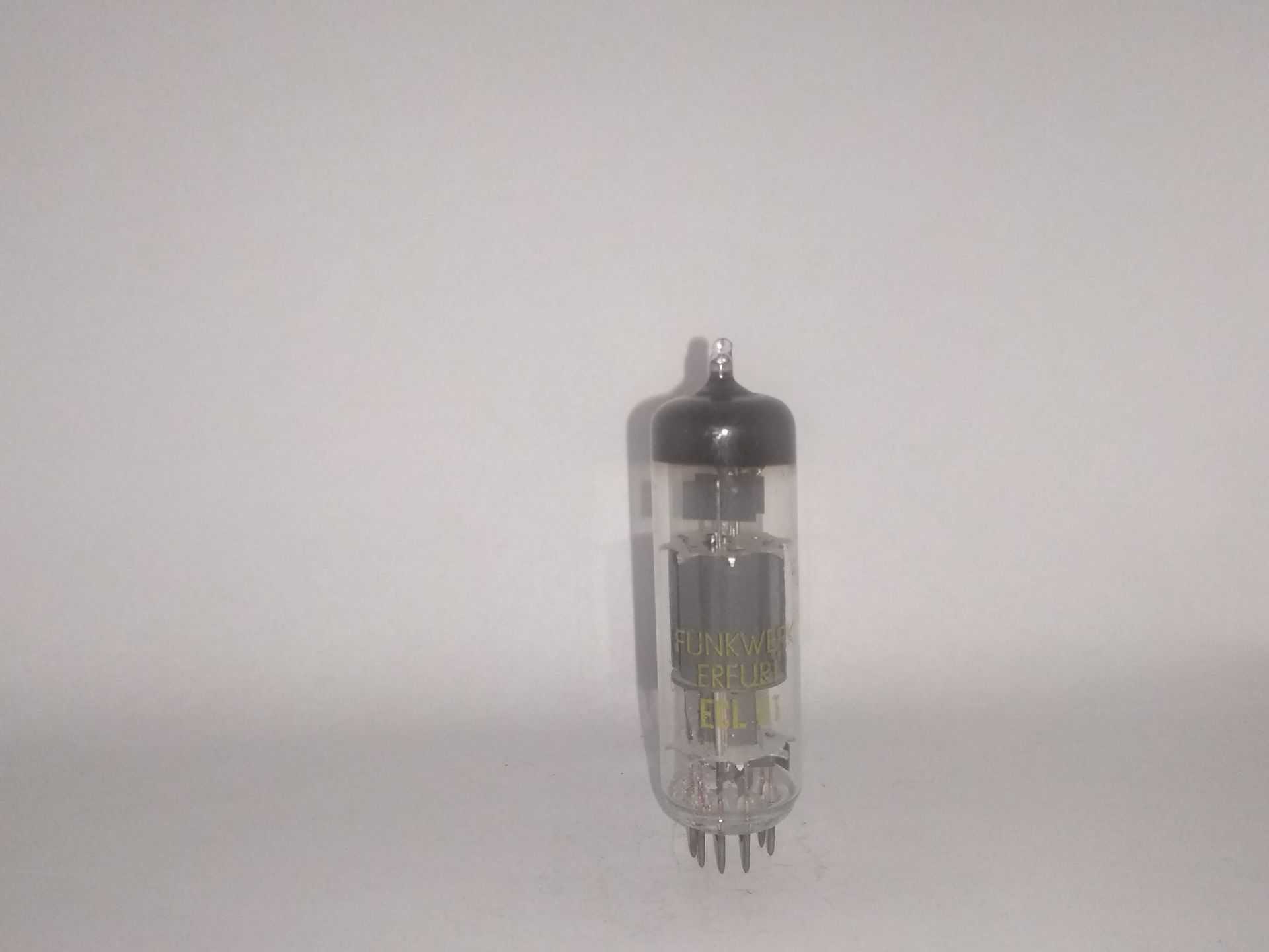 ECL81